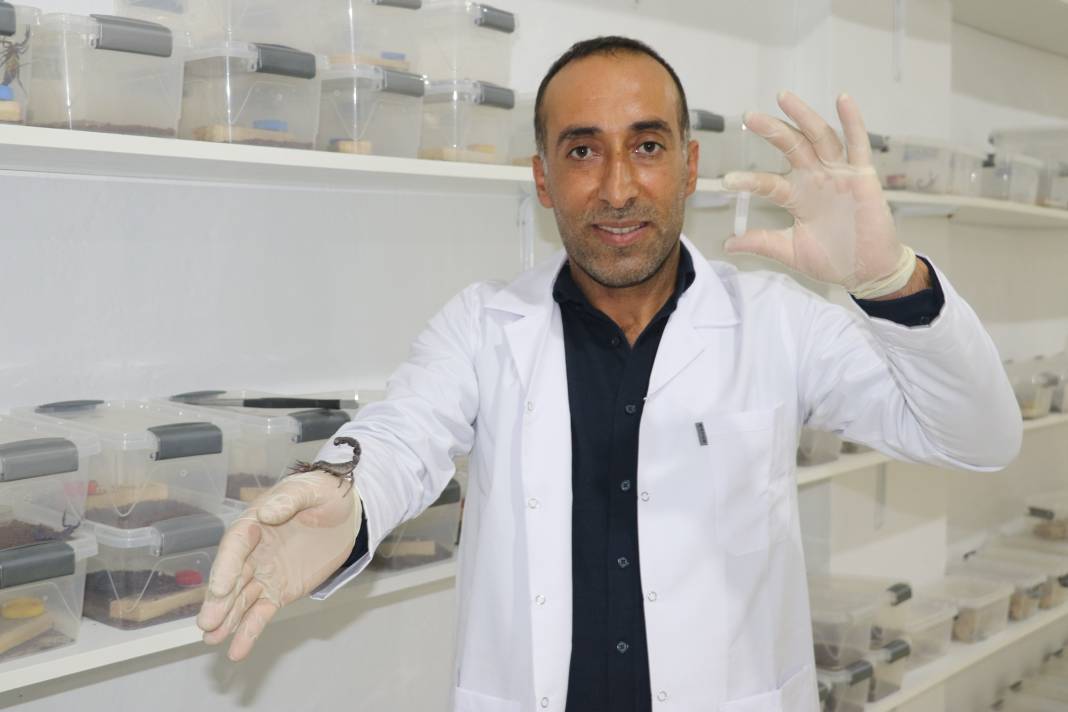 100 gramlık akrep zehri inşaat ustasına 59 milyonluk servet getirdi 5