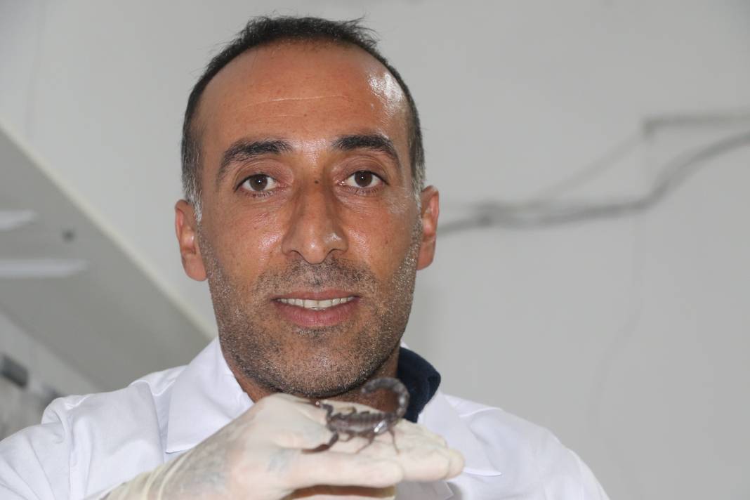 100 gramlık akrep zehri inşaat ustasına 59 milyonluk servet getirdi 7
