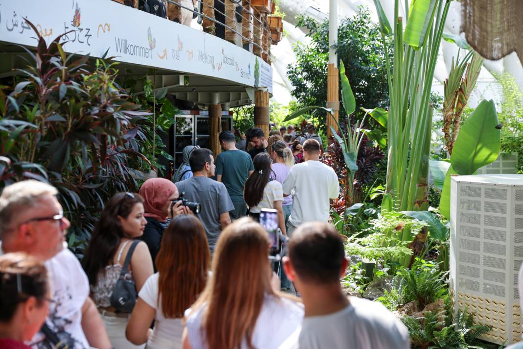 Konya turizminin masalsı dünyası: Tropikal Kelebek Bahçesi 3