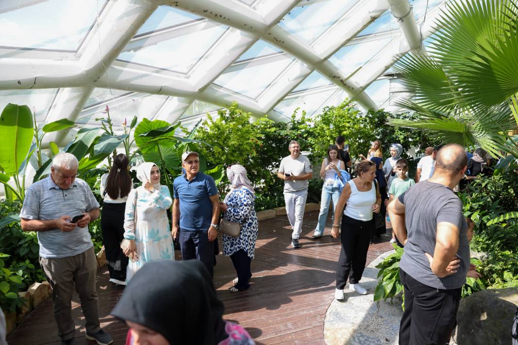 Konya turizminin masalsı dünyası: Tropikal Kelebek Bahçesi 5
