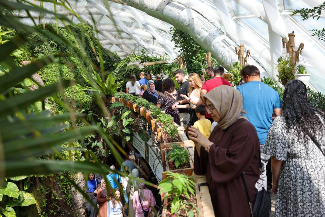 Konya turizminin masalsı dünyası: Tropikal Kelebek Bahçesi 7