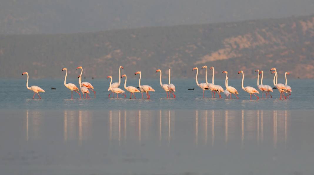 Konya semalarının ihtişamlı kanatları görücüye çıktı 17