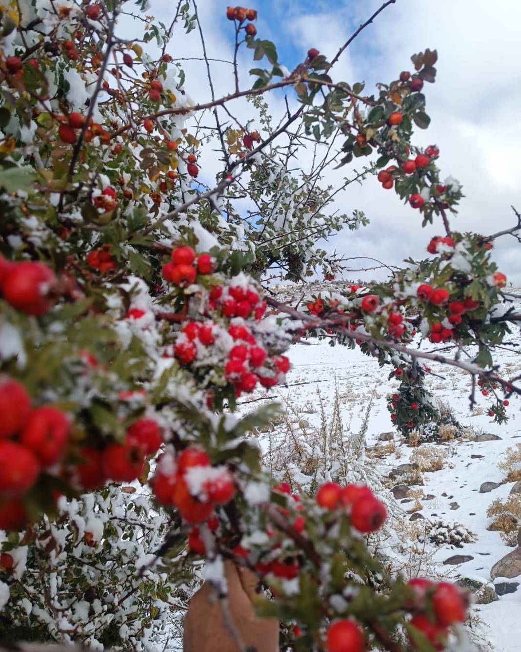 Konya’da erken kış! Dört bir yandan kar kareleri geliyor 8