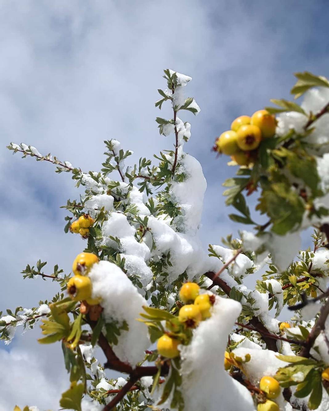 Konya’da erken kış! Dört bir yandan kar kareleri geliyor 3