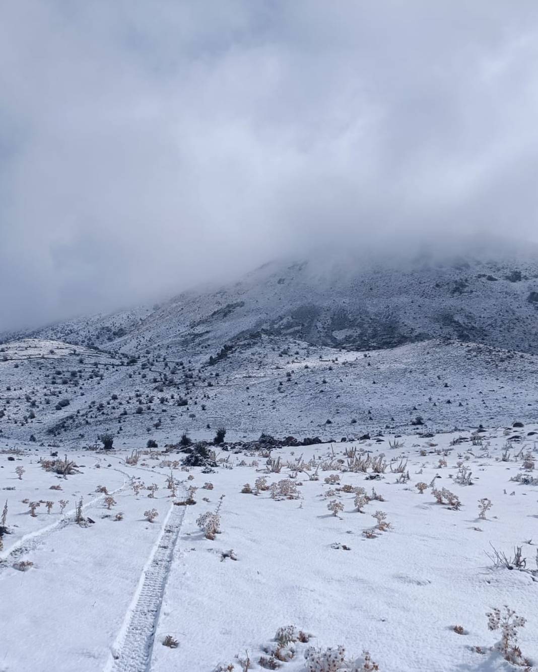 Konya’da erken kış! Dört bir yandan kar kareleri geliyor 9