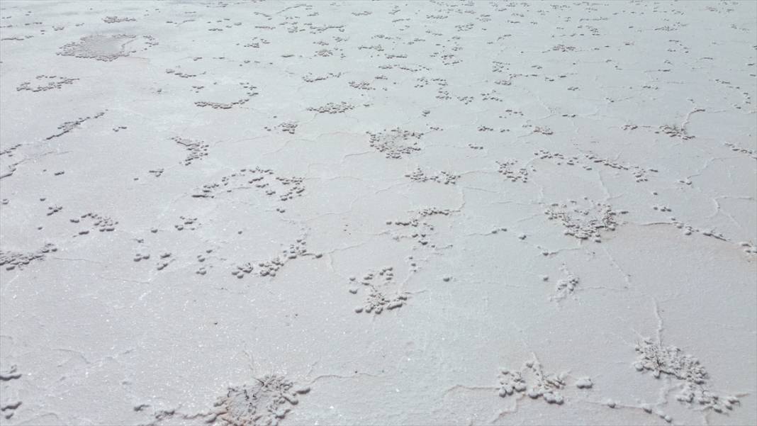 Tuz Gölü alarm veriyor! 3 il arasında yürünecek kadar küçüldü 9