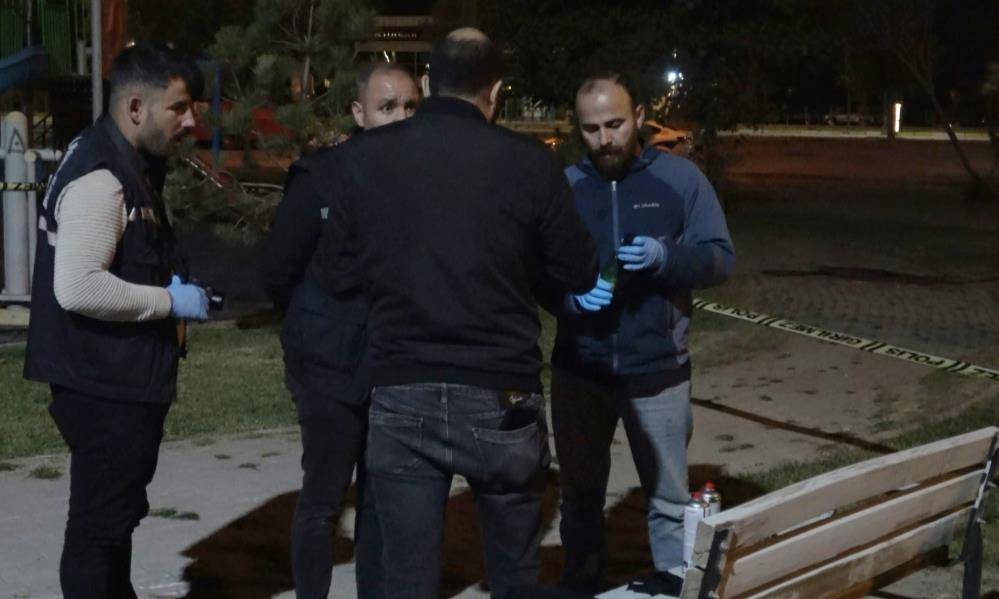 2 genç, parkta kavga için molotofkokteyli hazırlarken yakalandı 2