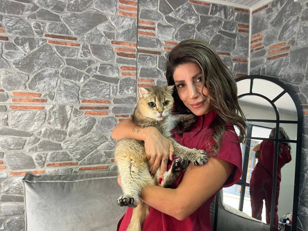 Takıntı hastası kedi antidepresan kullanmaya başladı 4