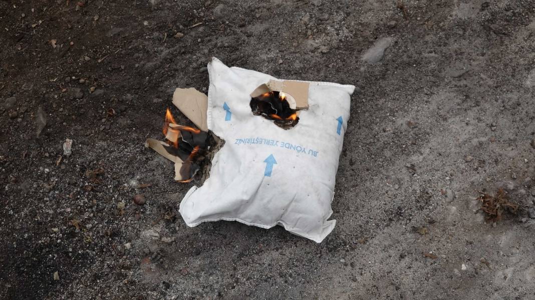 Kahverengi kokarca evleri istila etmeye başladı! Sakın elinizi sürmeyin 4