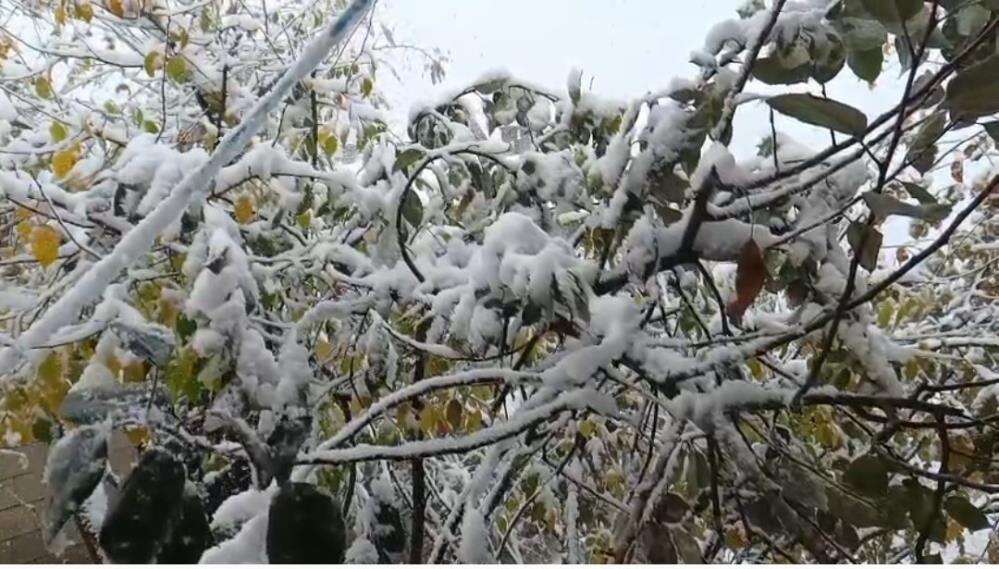 Kış bir ilimize hızlı girdi! Kar kalınlığı 15 santim 2