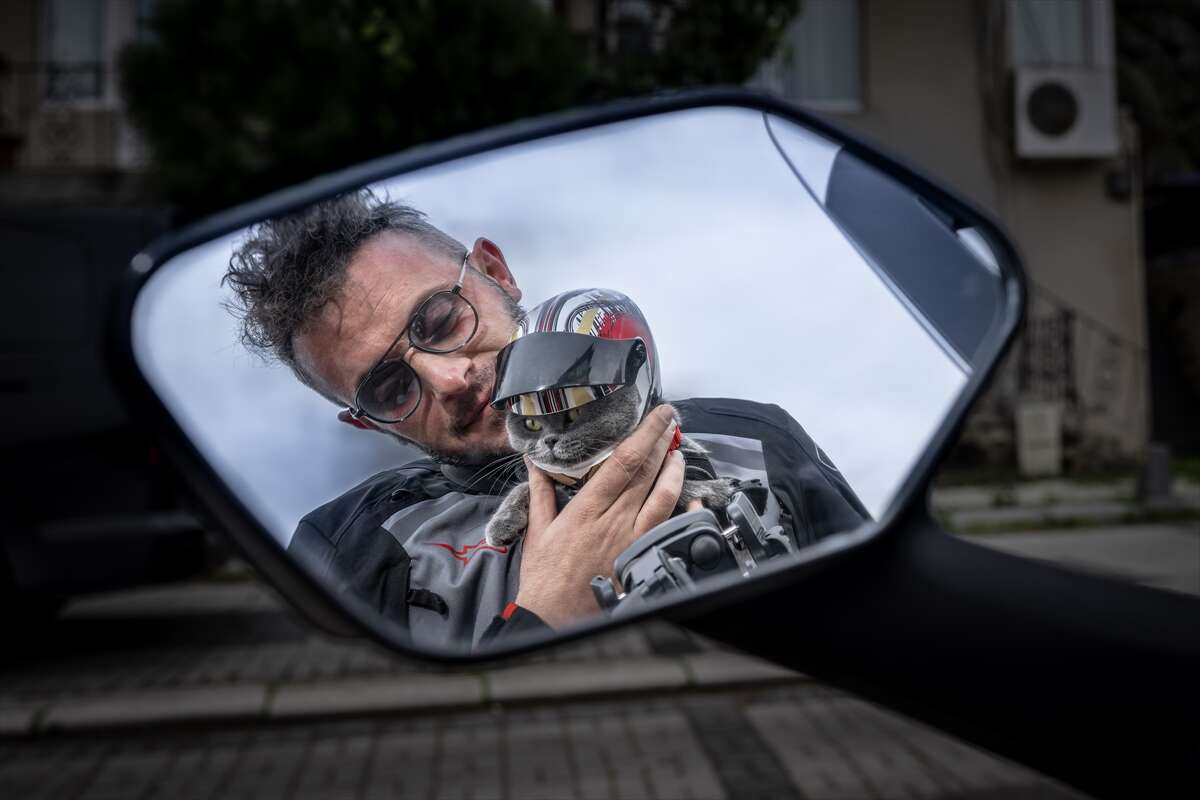 Motosikletli kedi Gofret, renkli kostümleriyle sosyal medyayı salladı 10