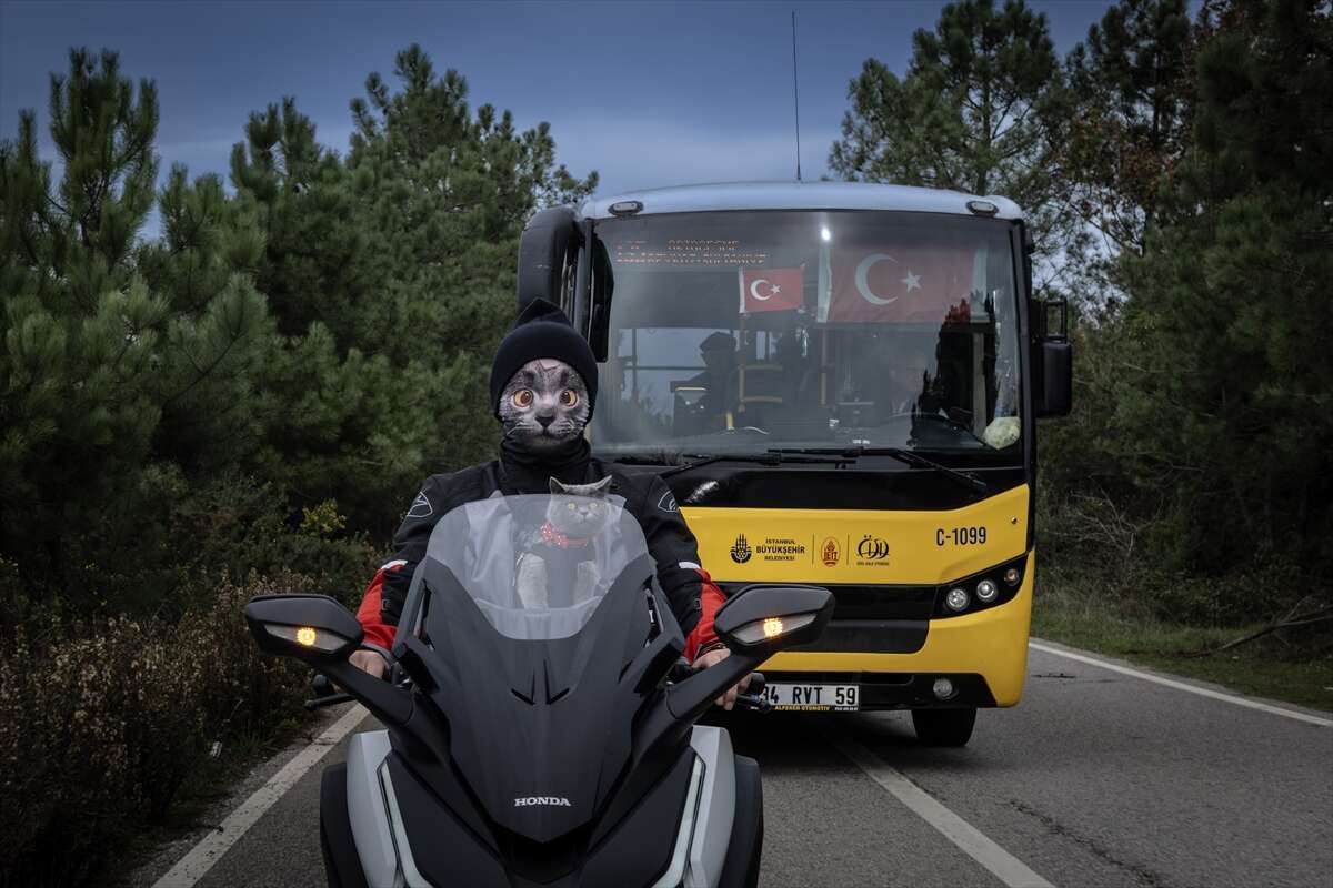 Motosikletli kedi Gofret, renkli kostümleriyle sosyal medyayı salladı 7