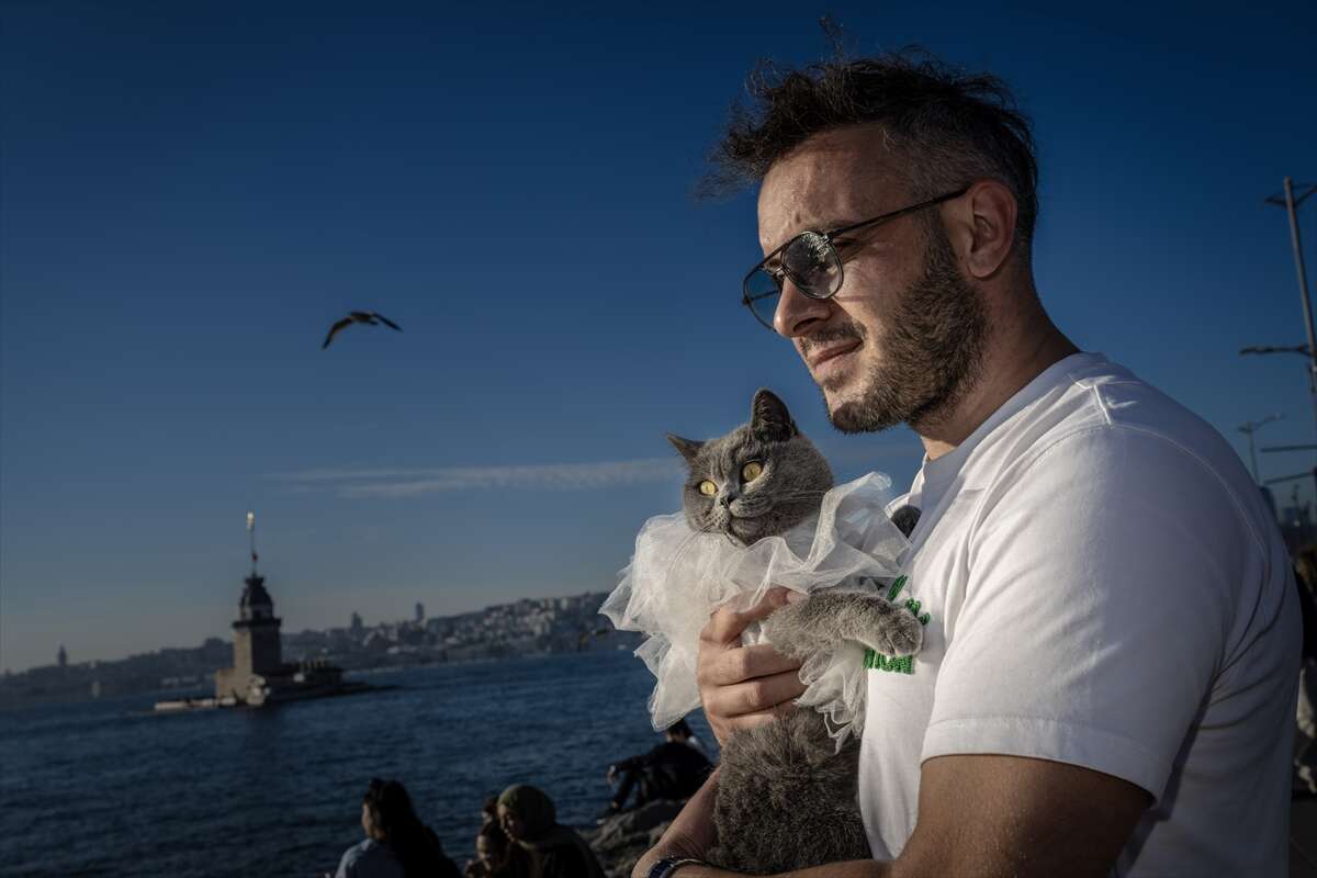 Motosikletli kedi Gofret, renkli kostümleriyle sosyal medyayı salladı 5