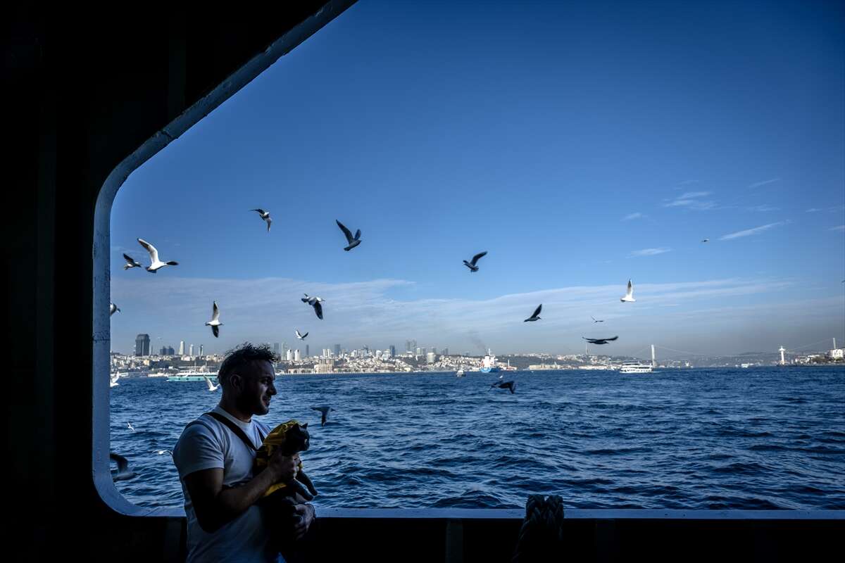 Motosikletli kedi Gofret, renkli kostümleriyle sosyal medyayı salladı 4