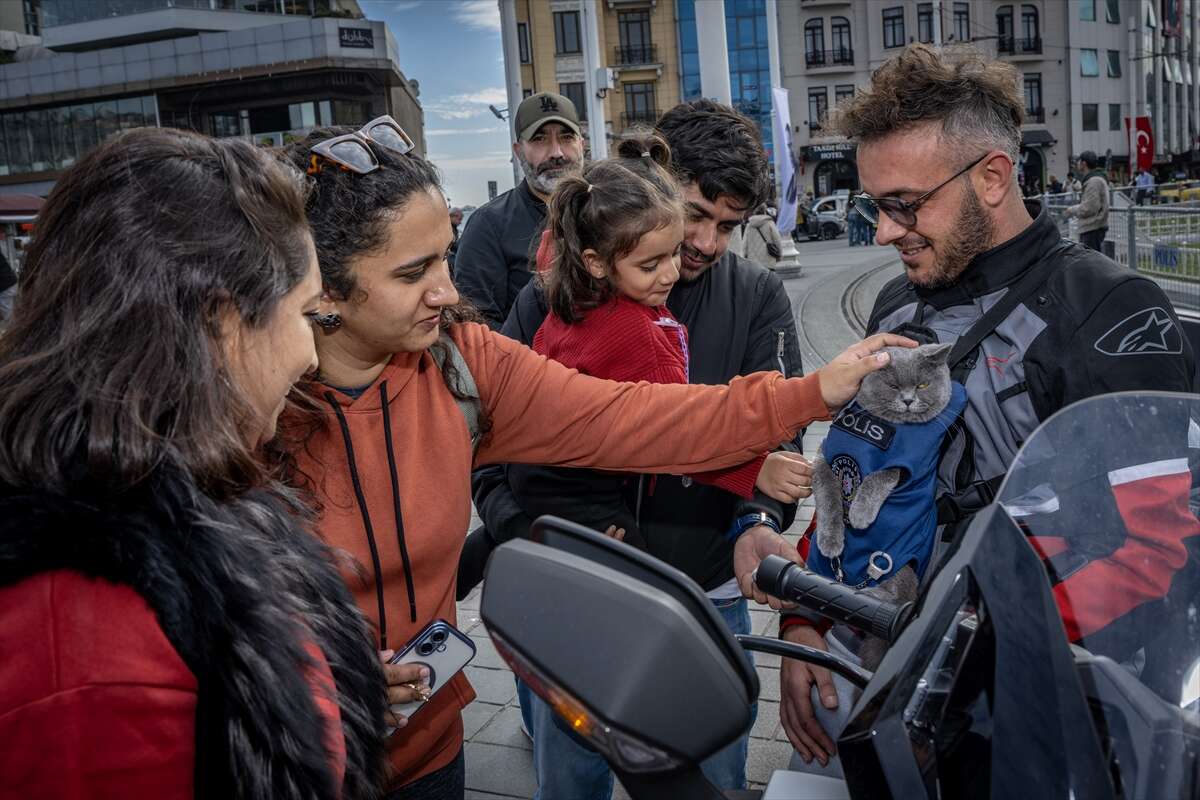 Motosikletli kedi Gofret, renkli kostümleriyle sosyal medyayı salladı 1