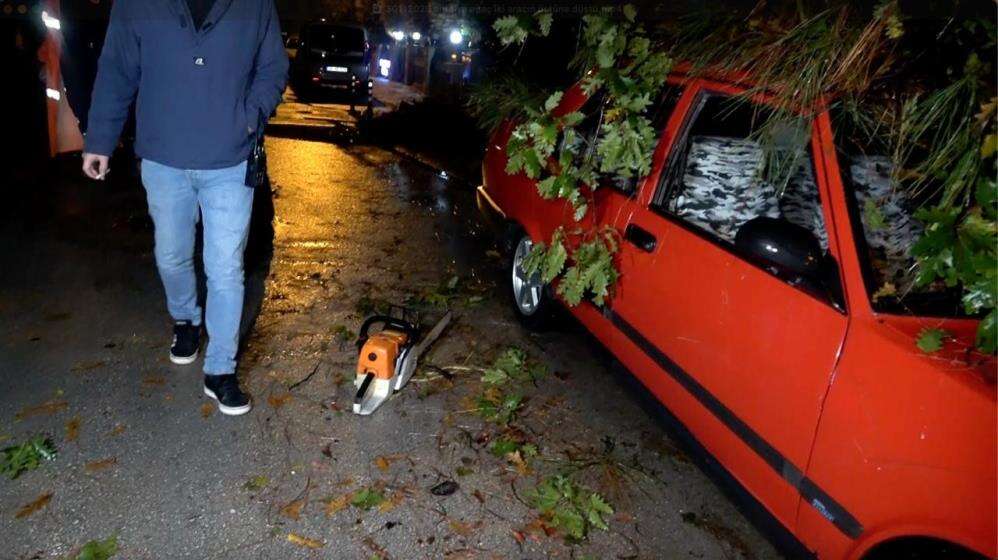 10 metrelik ağaç kuvvetli yağışa dayanamadı! 2 binada hasar var 4