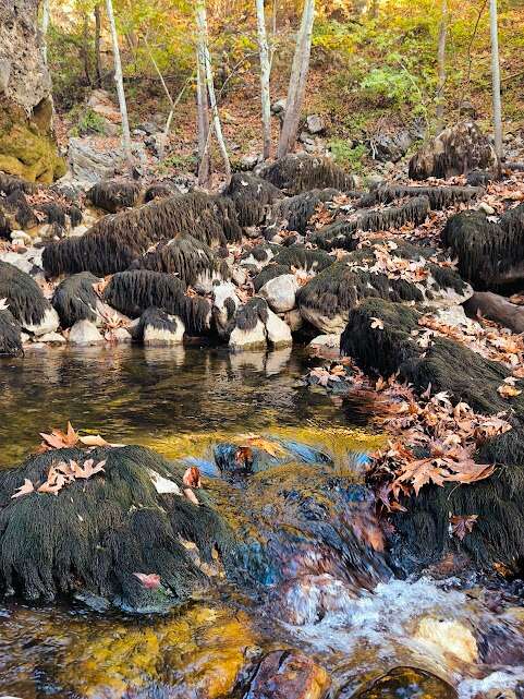 Çöle dönen doğa harikası yeniden coştu 4