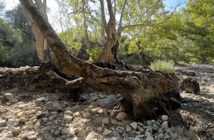 Çöle dönen doğa harikası yeniden coştu 2