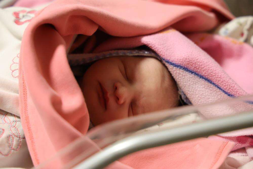 4 bebek, yeni yılın ilk dakikalarında dünyaya gözlerini açtı 3