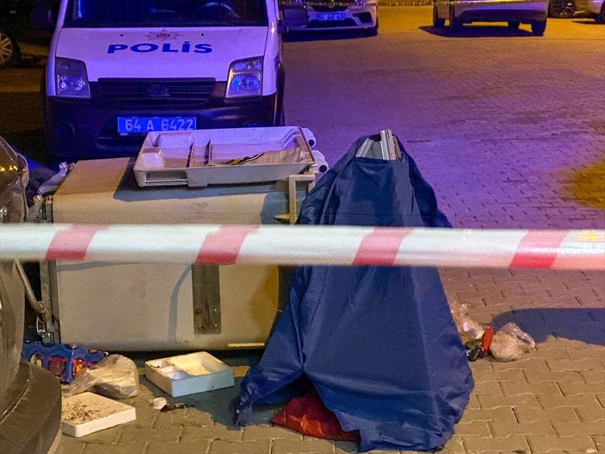 Çöp konteynerinden yeni doğmuş bebek cesedi çıktı 5