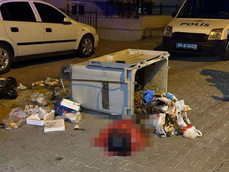 Çöp konteynerinden yeni doğmuş bebek cesedi çıktı 3