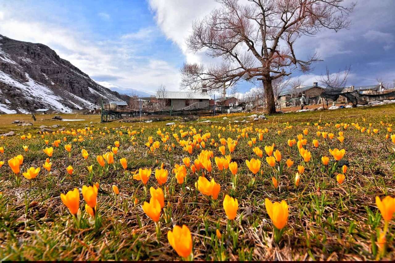 Konya’nın yükseklerinde baharın ilk izleri görüldü 4