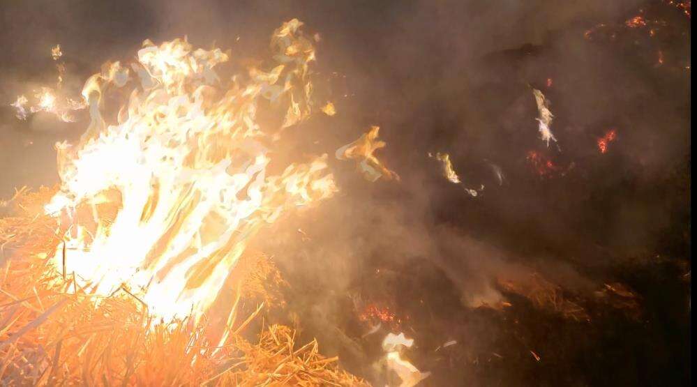 Mandırada korkutan yangın! 70 ton saman kül oldu 11