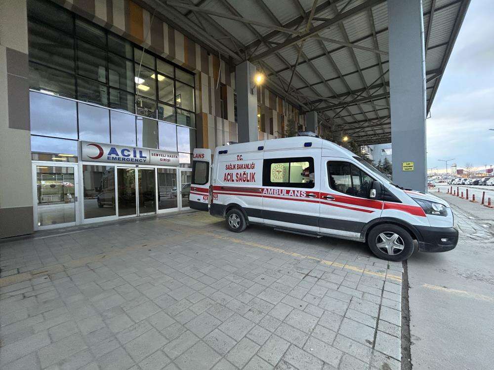 Sokak köpeklerinin saldırdığı 5 yaşındaki Hamza hayatını kaybetti 2