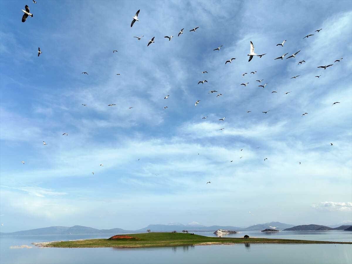 Konya, iki mevsimi birden yaşıyor 4