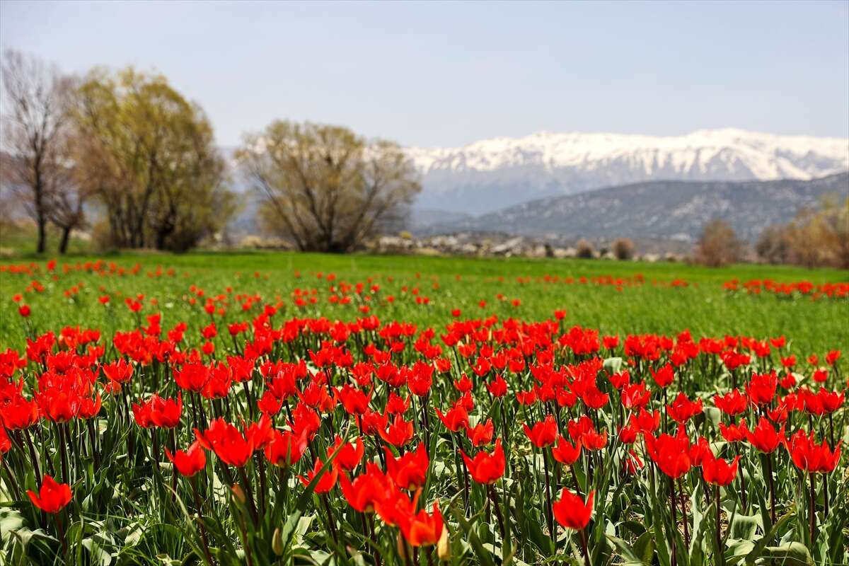 Konya, iki mevsimi birden yaşıyor 5