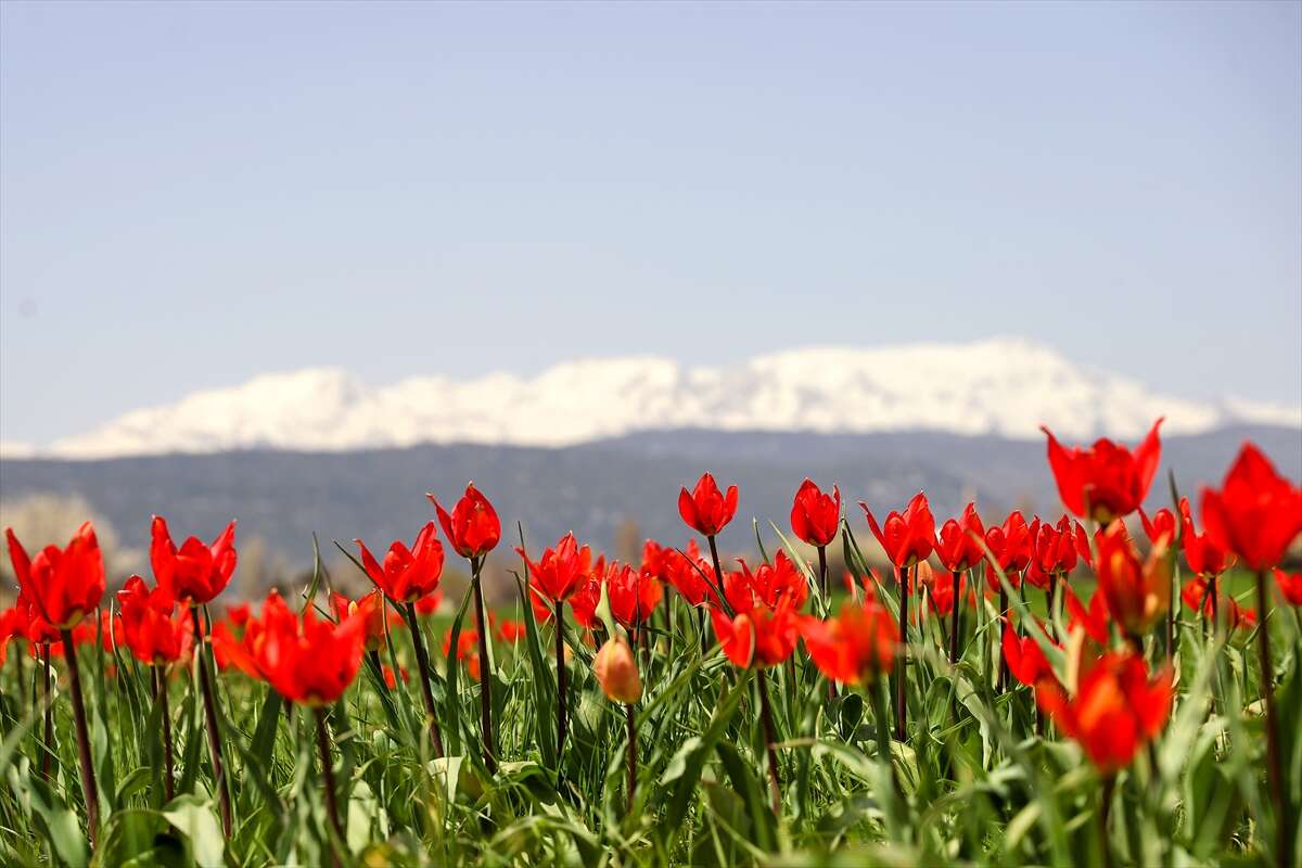 Konya, iki mevsimi birden yaşıyor 9