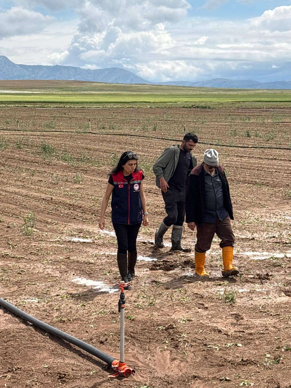 Konya Ovası’nda kritik süreç! Başak veren ekinler tehlikede 5
