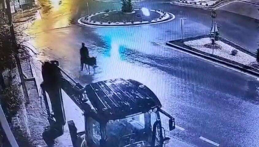 Forkliftle kuyumcu soyup eşekle kaçmıştı! Dünyada viral olan hırsıza 9 yıl hapis 8