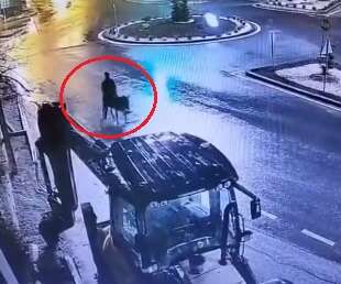Forkliftle kuyumcu soyup eşekle kaçmıştı! Dünyada viral olan hırsıza 9 yıl hapis 9