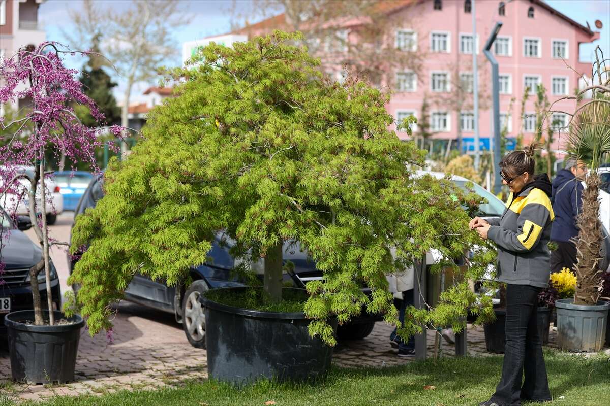 Konya’da baharın en dikkat çeken ürünü! Fiyatını gören dönüp bir daha bakıyor 5