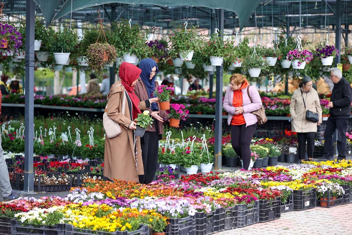Konya’da baharın en dikkat çeken ürünü! Fiyatını gören dönüp bir daha bakıyor 15