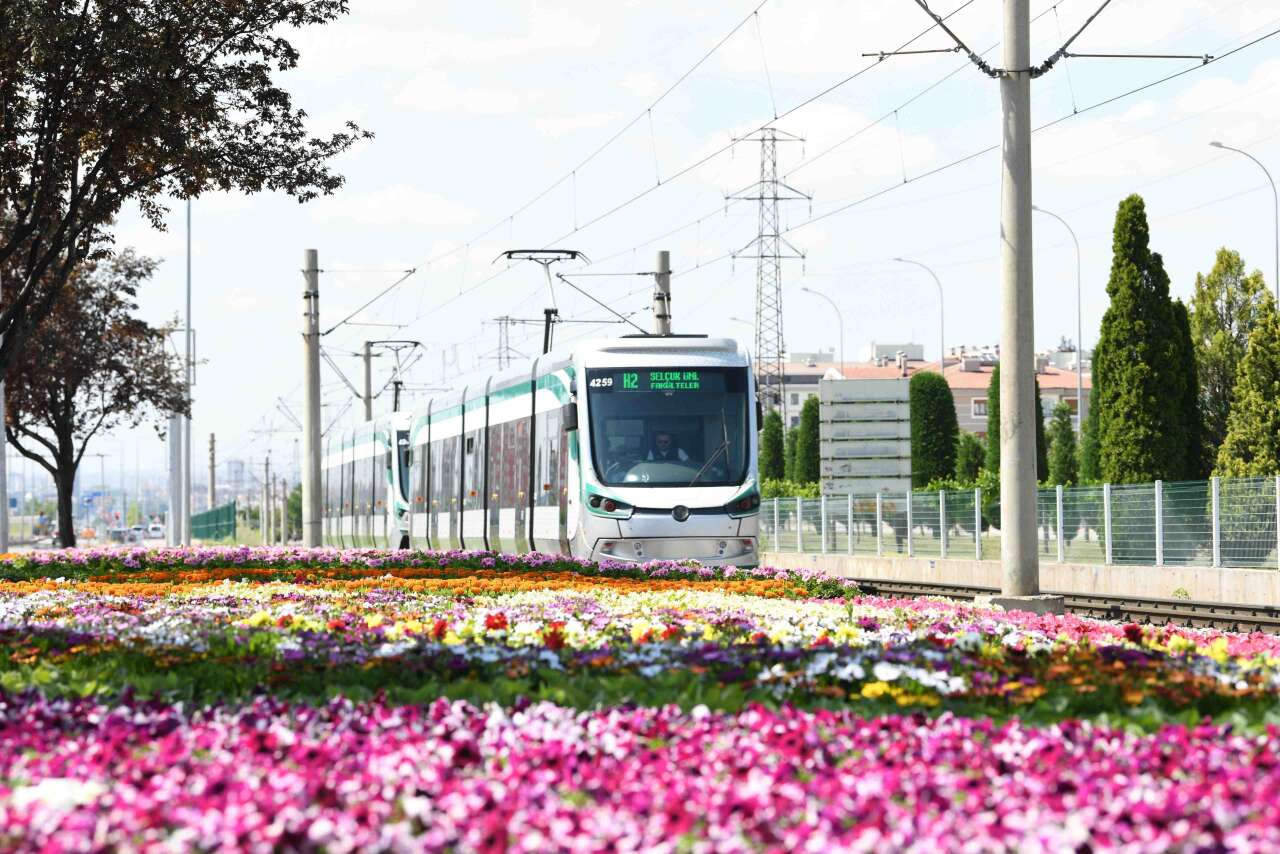 Yaz geldi, Konya dev bir çiçek bahçesine dönüştü 15
