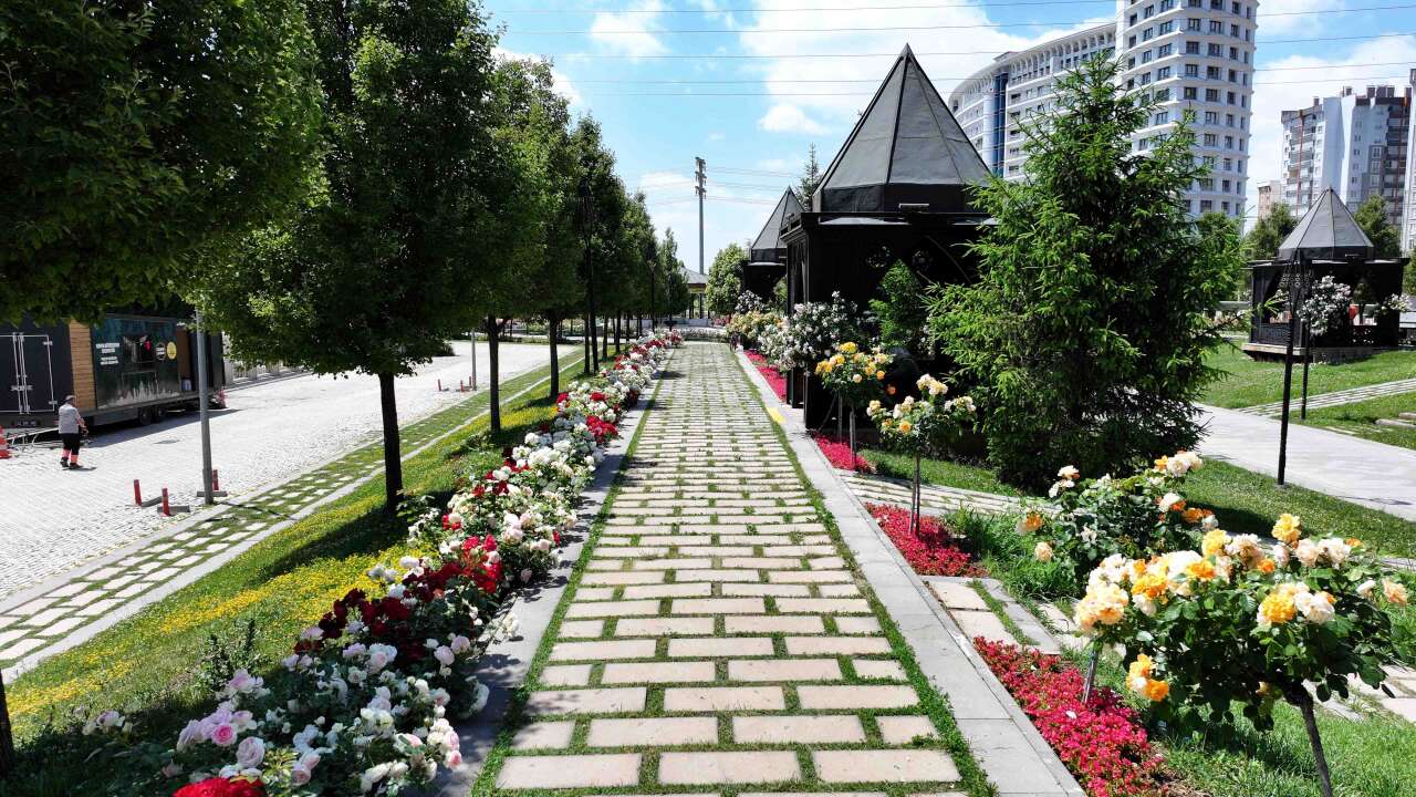 Yaz geldi, Konya dev bir çiçek bahçesine dönüştü 18