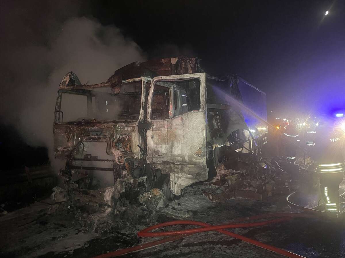 Tavuk yüklü TIR alev alev yandı 4