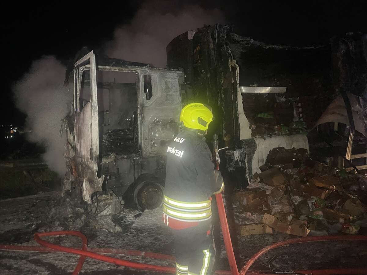 Tavuk yüklü TIR alev alev yandı 3