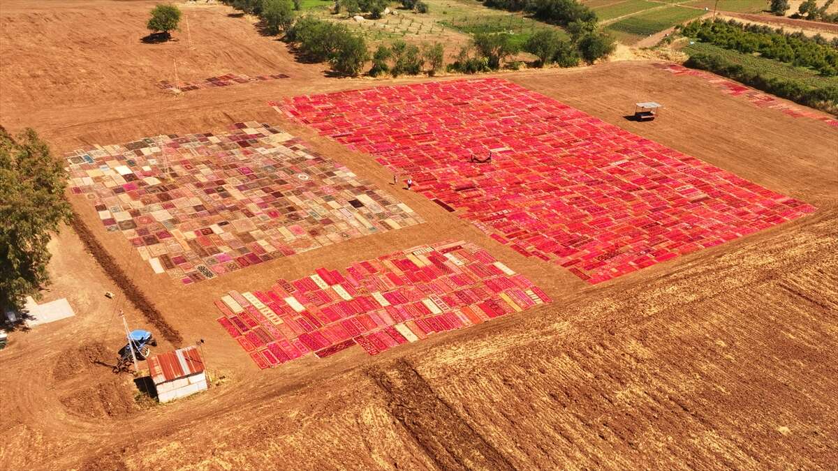 5 bin el dokuması halıyla kaplanan tarlalar görenleri hayran bırakıyor 27