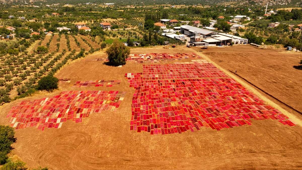 5 bin el dokuması halıyla kaplanan tarlalar görenleri hayran bırakıyor 25