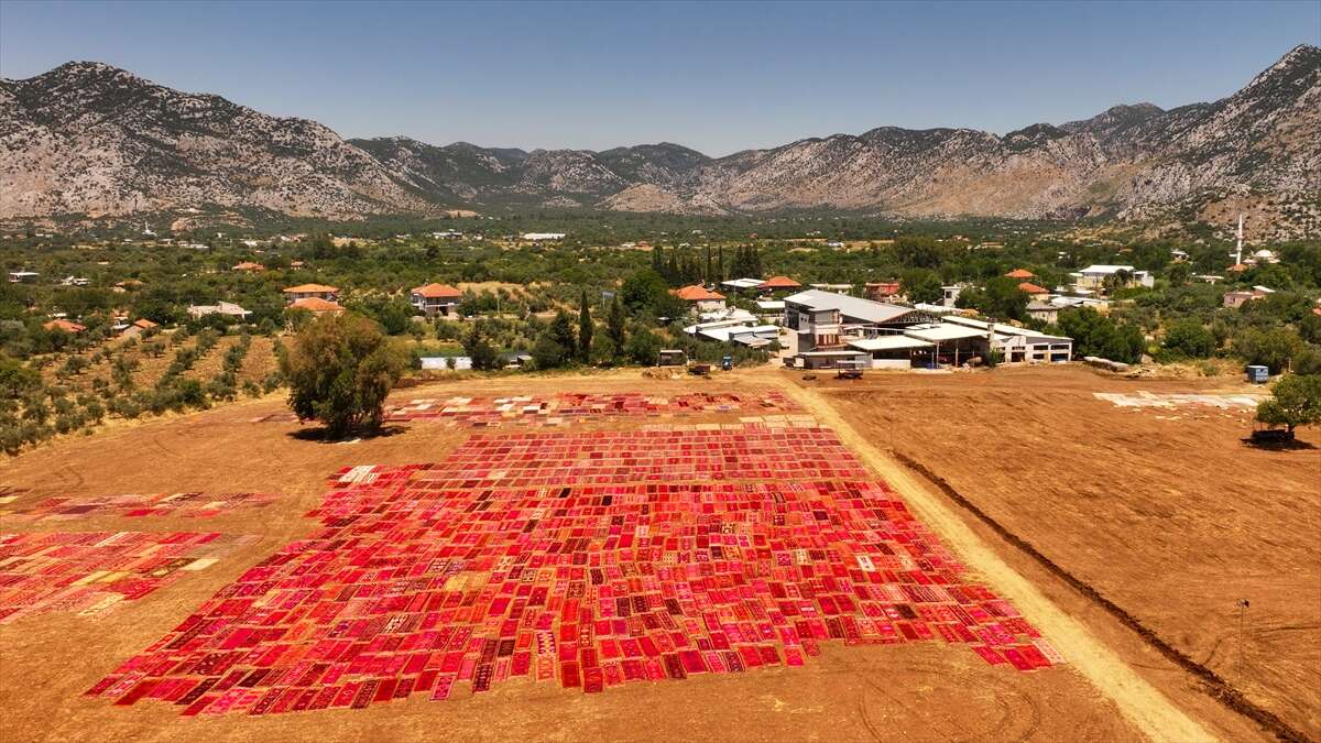 5 bin el dokuması halıyla kaplanan tarlalar görenleri hayran bırakıyor 22