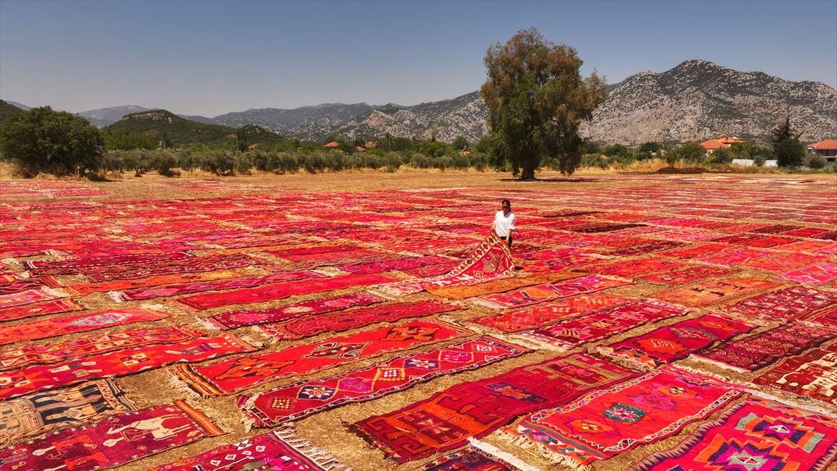 5 bin el dokuması halıyla kaplanan tarlalar görenleri hayran bırakıyor 16