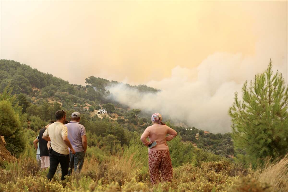 Muğla'da orman yangını büyüyor! Evler tahliye edildi, karayolu ulaşıma kapatıldı 14