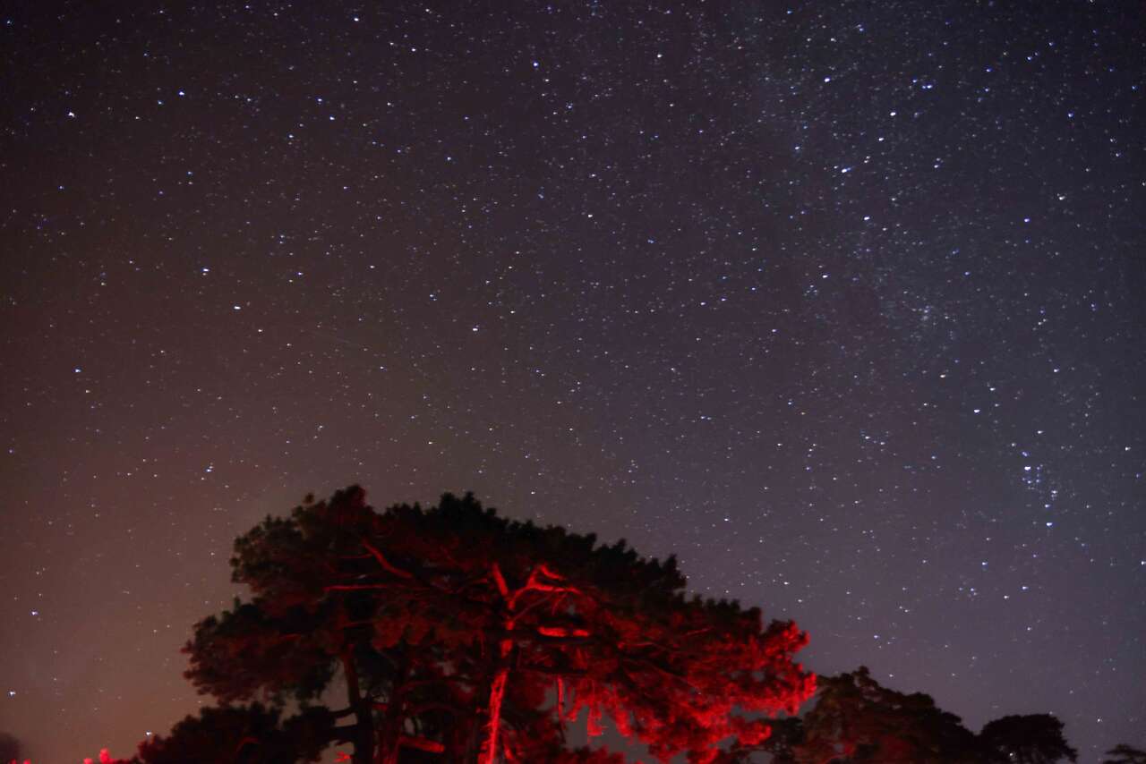 Konya’da meteor yağmuru gecesi! Gençler ve aileler Kızılören’de buluştu 5