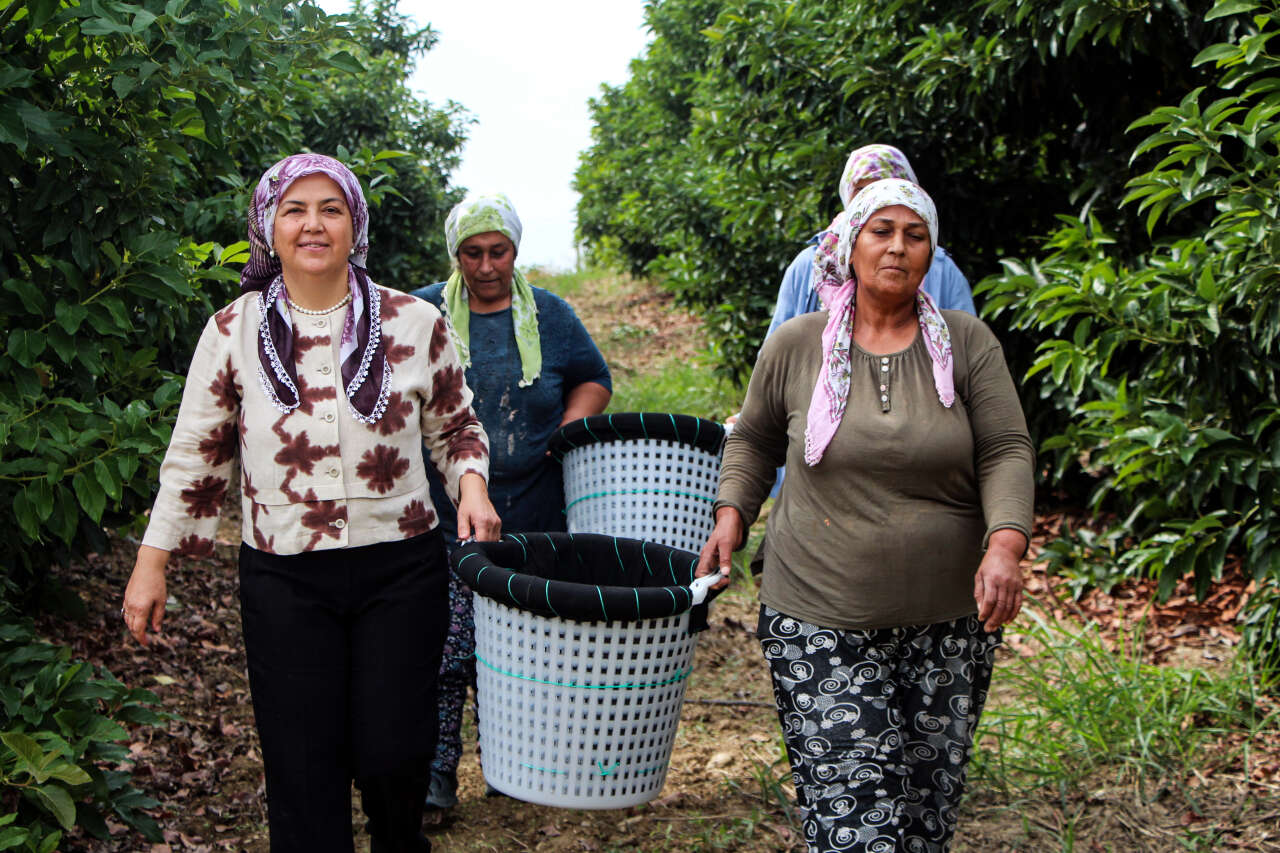 Türkiye'de üretimi hızla yayılıyor! Avokadonun fiyatı sert düştü 3