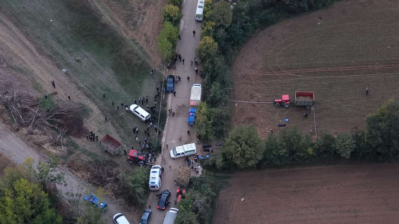 Pancar tarlasında silahlı katliam! Aynı aileden 4 kişi öldürüldü 12