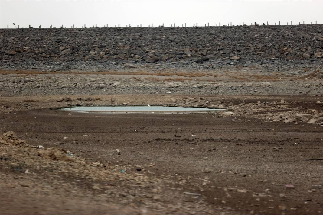 Konya'da çekilen bu fotoğraflar kuraklığın boyutlarını gözler önüne serdi 7