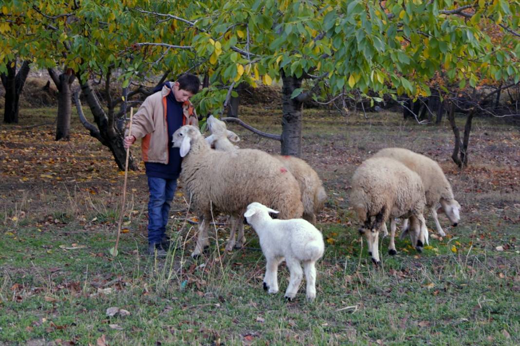 Konyalı "küçük çoban" yaptığı resimlerle herkesin beğenisini kazanıyor 5